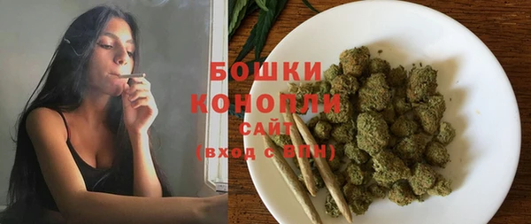 гашик Гусев