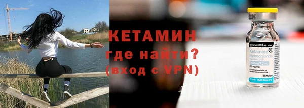 гашик Гусев