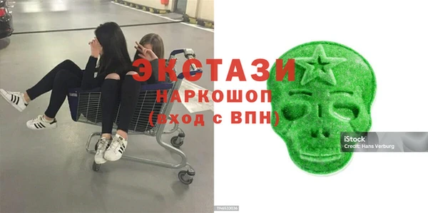 гашик Гусев