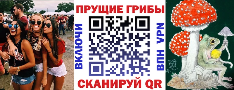 Галлюциногенные грибы MAGIC MUSHROOMS  Брюховецкая 