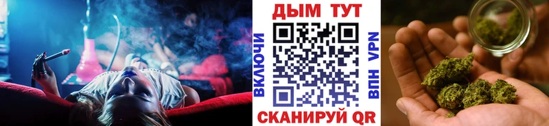 Каннабис MAZAR  Брюховецкая 